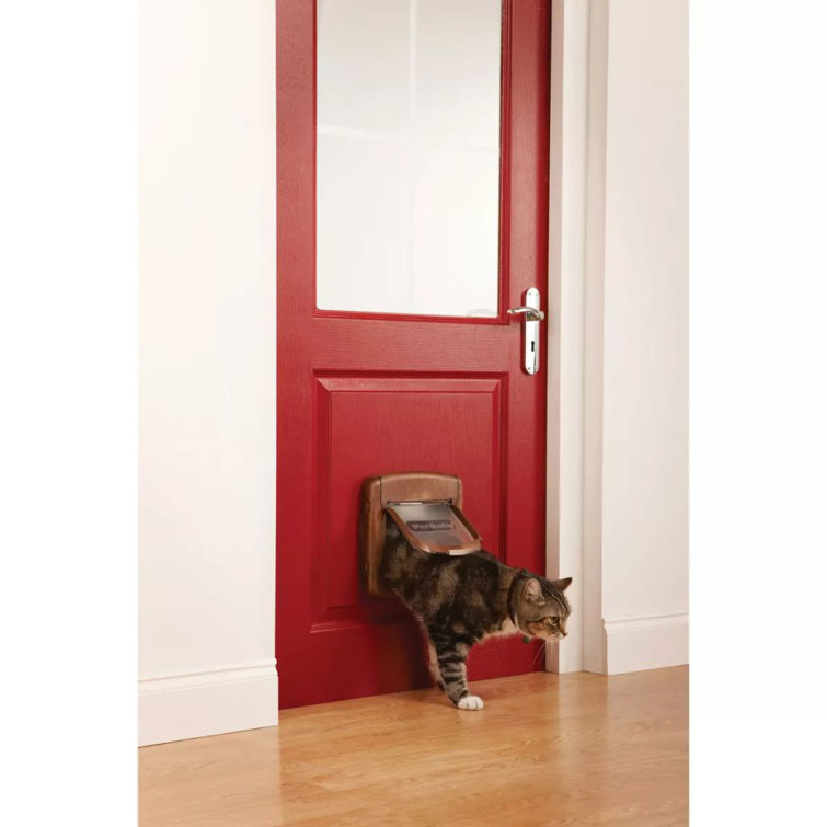 Archie & Oscar PetSafe 4Way Cat Flap Deluxe Wayfair.co.uk